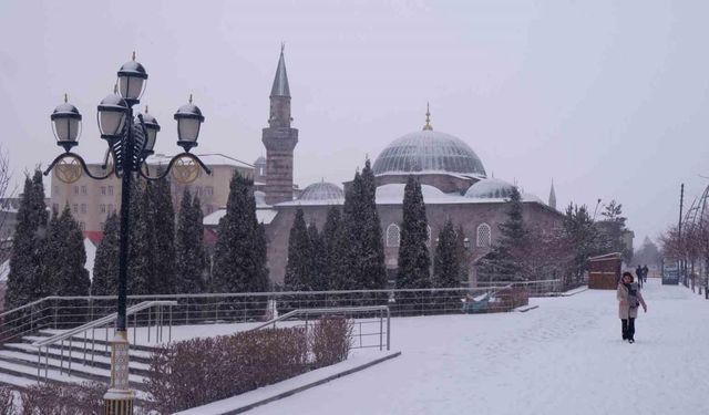 Erzurum’da Mart kapıdan baktırdı