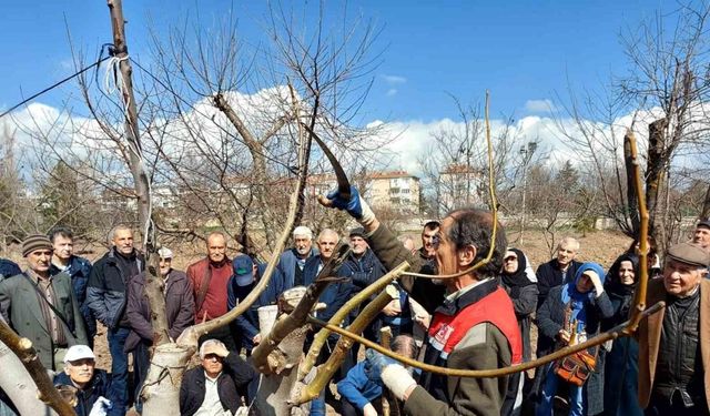 Eskişehir çiftçisine meyve ağaçlarında budama ve aşılama eğitimi verildi