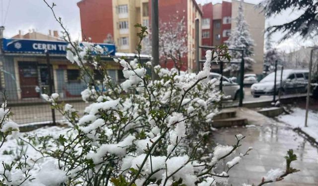 Eskişehir kent merkezinde kar yağışı etkili oldu