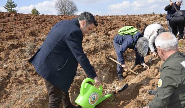 Fidanlar gelecek nesillere yaşlıların hatırasını yaşatacak