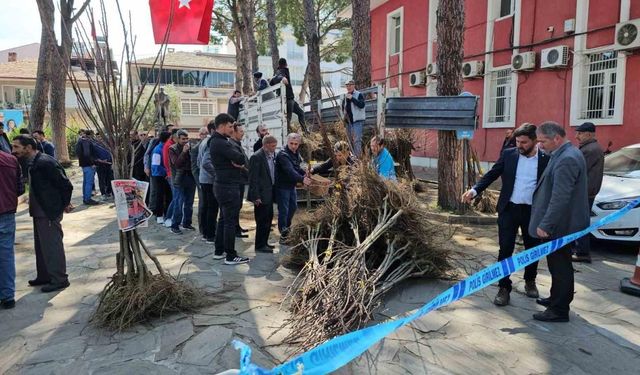 Gal arısı zararlısına karşı geliştirilen kestane fidanları üreticiye dağıtıldı