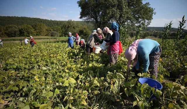 GMKA destek verdi, kadın üretimi ve istihdam güçlendi