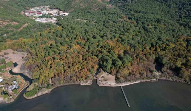 Günnücek Sığla Ormanı, Cumartesi günleri de ziyaret edilebilecek