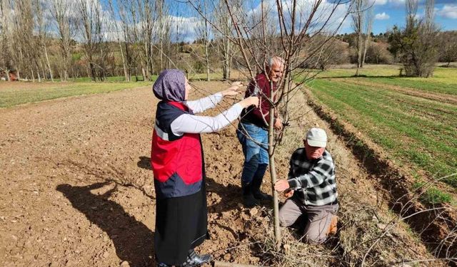 Hisarcık’ta meyve ağaçlarında uygulamalı budama eğitimi