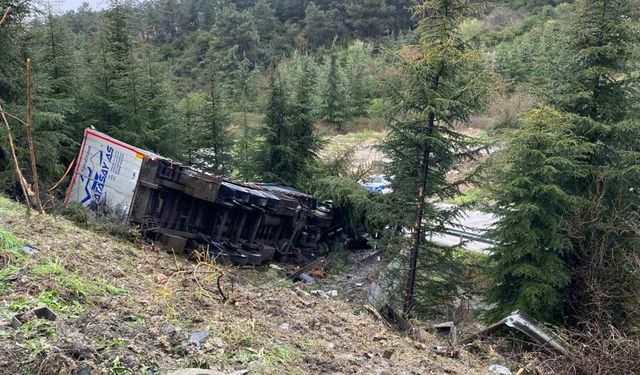 Kayganlaşan yolda bariyerlere çarpan tır ağaçlık alana uçtu: 1 ölü