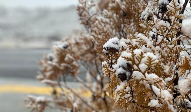 Kayseri’de cemre ile birlikte kar da düştü