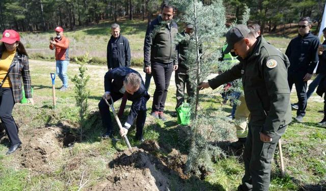 Kazdağları’nda fidanlar toprak ile buluştu