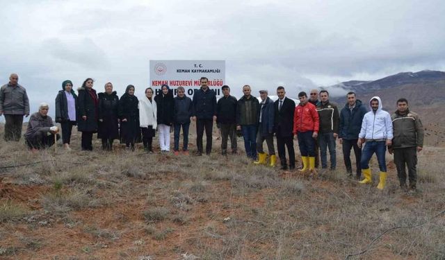 Kemah’ta fidan dikim etkinliği düzenlendi