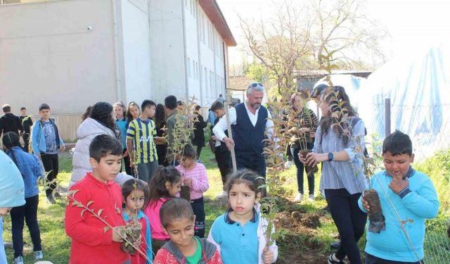 Köyceğiz’de okul bahçesi keçiboynuzu fidanları ile donatıldı