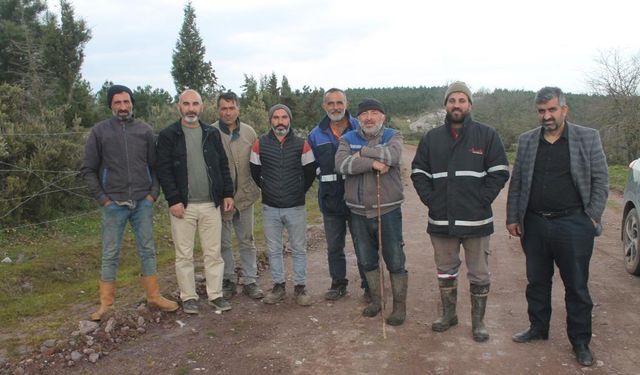 Köylere hırsız dadandı, besiciler diken üstünde