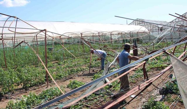 Kumluca’da hortum afetinden 265 dönüm alanda 111 üretici etkilendi