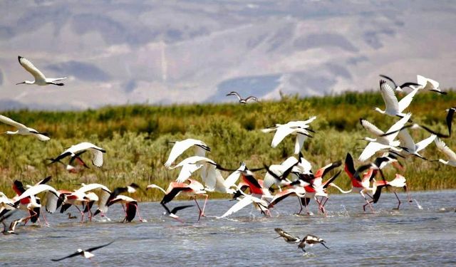 Kuş cenneti havadan görüntülendi, kendine hayran bıraktı