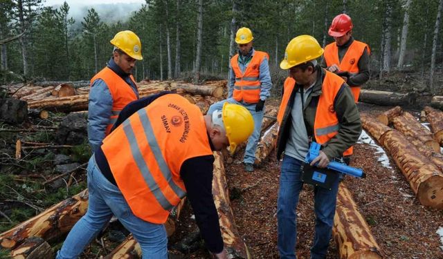 Kütahya OBM’de barkodlu orman emvalleri ihalede