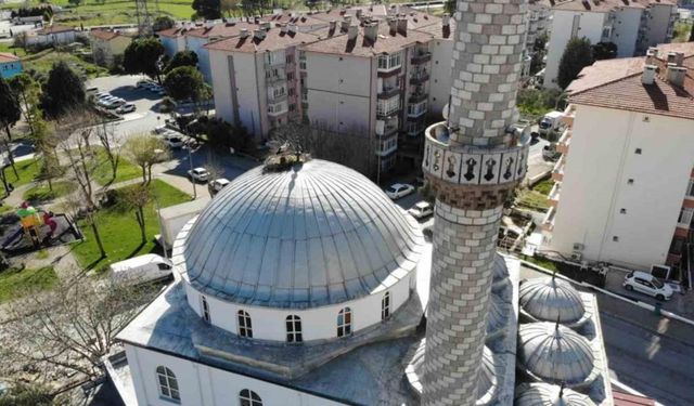 Mahallenin maskotları leylekler bu yıl da yerini aldı