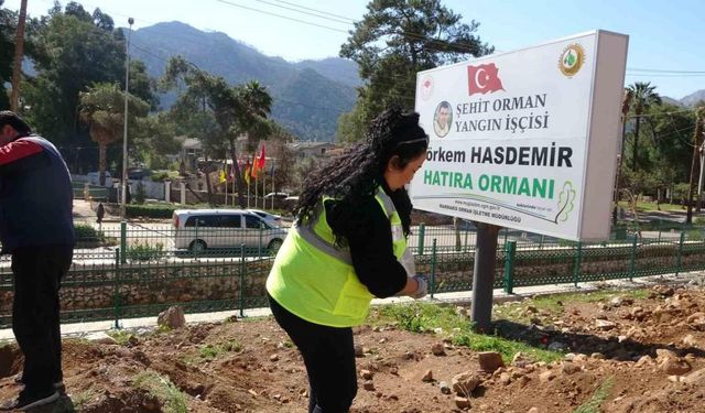 Marmaris’te binlerce fidan toprakla buluştu