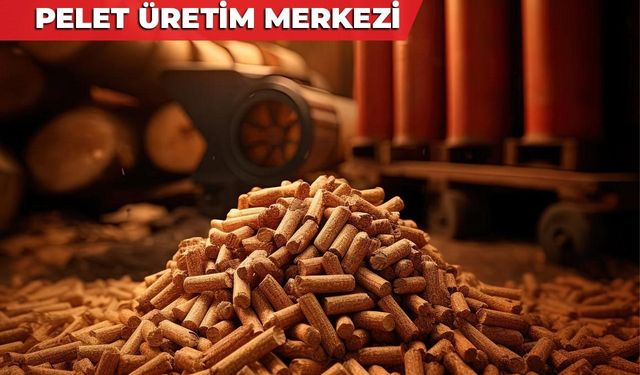 Merkezefendi’de parklardan toplanan kuru yapraklar ihtiyaç sahiplerine yakacak olacak