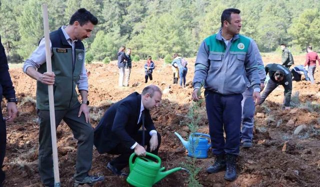 Orman Haftası’nda Köyceğiz’de fidan dağıtımı ve dikimi yapıldı