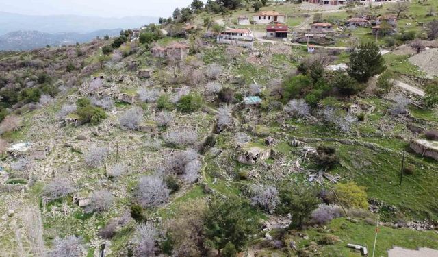 (Özel) Bu mahallede sadece 17 seçmen sandık başına gidecek