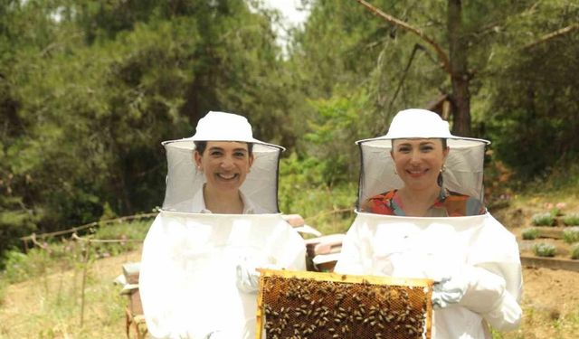 Ramazan ayı beslenme zincirinde propolis ve polen tavsiyesi