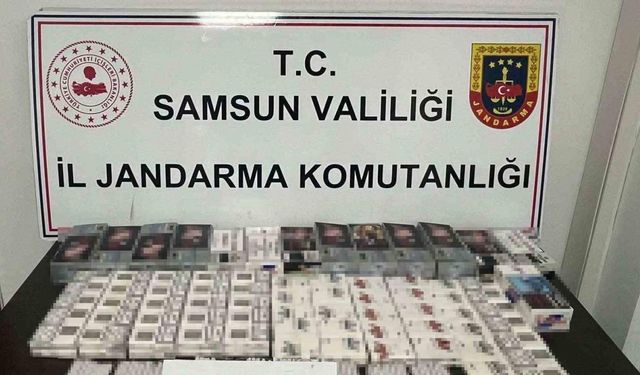 Samsun’da jandarma 43 bin dal makaron ele geçirdi