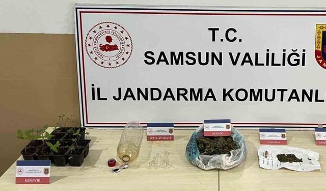 Samsun’da jandarmadan uyuşturucu madde operasyonu