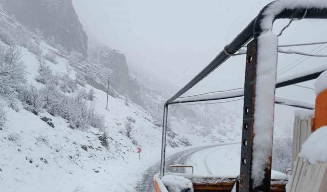 Şırnak’ta kar nedeniyle kapanan yolları açma çalışmaları başladı