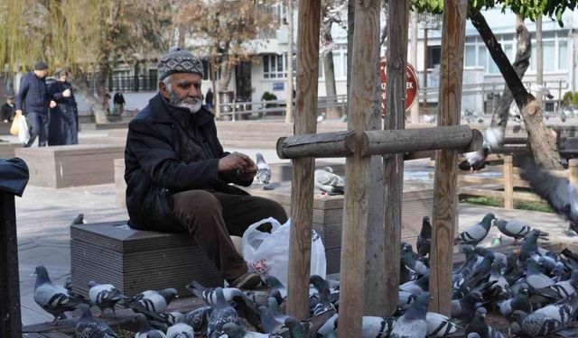 Sokaktaki kuşları yıllardır büyük bir özenle besliyor