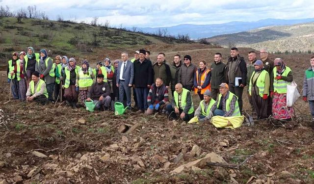 Tavşanlı’da yanan ormanlık alanlar tekrar ağaçlandırılıyor