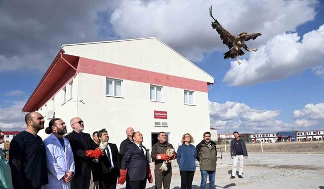 Tedavisi tamamlanan yırtıcı kuşlar doğaya salındı