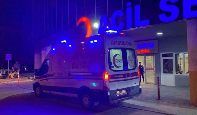 Tercan’da trafik kazası: 7 yaralı