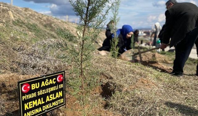 Üniversite öğrencileri şehitler anısına fidan dikti