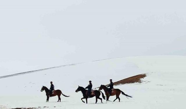 Van’da 108 düzensiz göçmen yakalandı