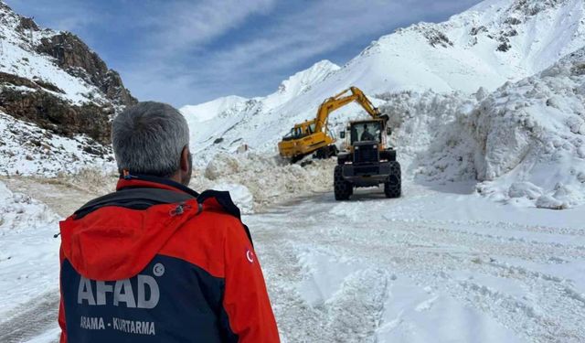 Van’da yetkililer çığ bölgesinde inceleme yaptı