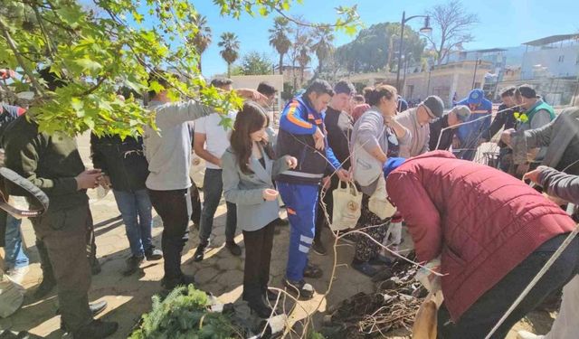 Yenipazar’da 2 bin 500 fidan dağıtıldı