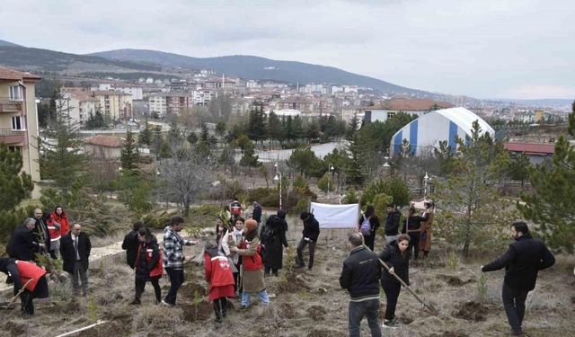 Yozgat’ta 300 fidan, depremde hayatını kaybeden kadınlar anısına toprakla buluştu