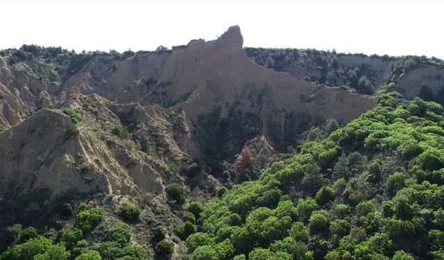 Anzakların Mısır'daki sfenkslere benzettiği Arıburnu Yarları doğa koşullarına direniyor