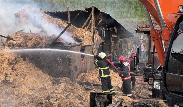 GÜNCELLEME - Sakarya'da çiftlikte çıkan yangında 1 kişi dumandan etkilendi