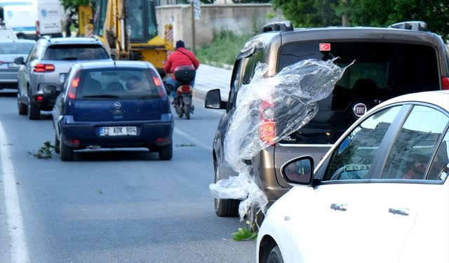 Kırklareli'nde şiddetli rüzgar etkili oldu