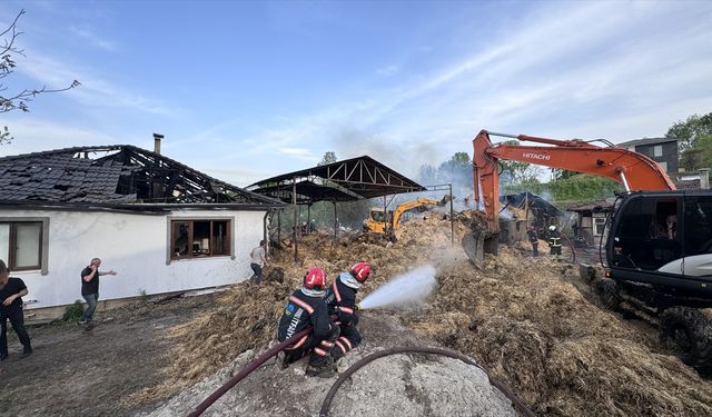 Sakarya'da çıkan çiftlik yangınında 1 kişi dumandan etkilendi