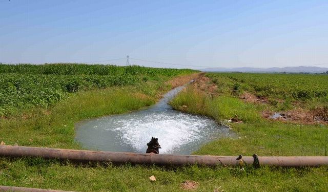 18 bin çiftçiyi ilgilendiriyor! Şanlıurfa ve Mardin'deki tarımsal sulama abonelerine son uyarı!