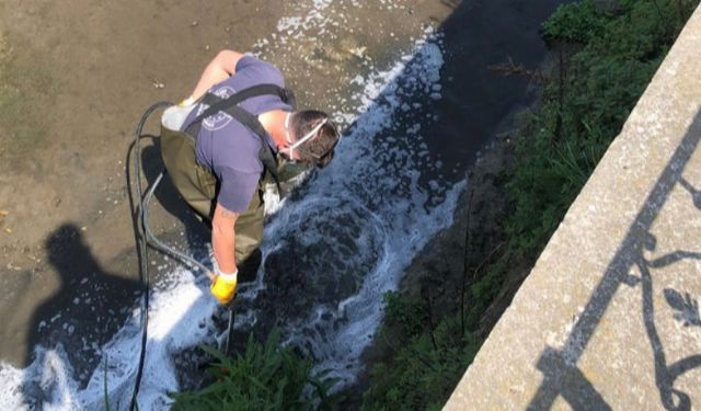 Bursa Gemlik’te larva ilaçlaması başladı