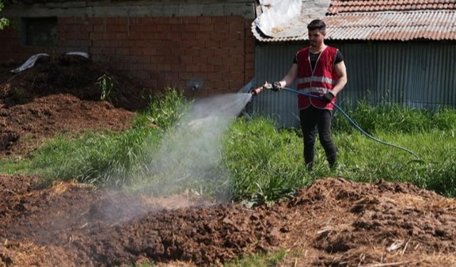 Düzce'de ilaçlama çalışmaları yeniden başladı