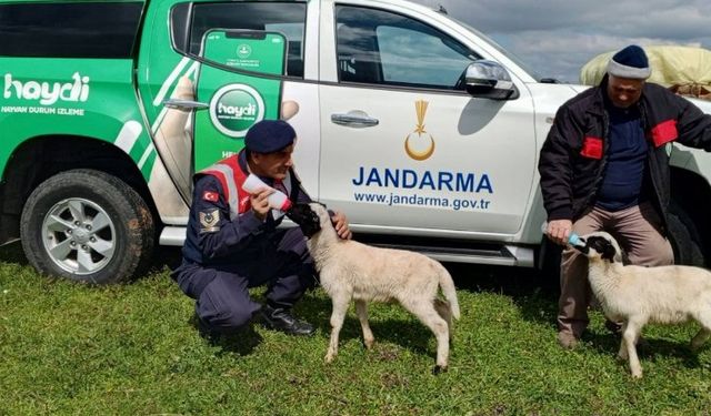 Edirne Jandarması'ndan hayvan sağlığı bilgilendirmesi