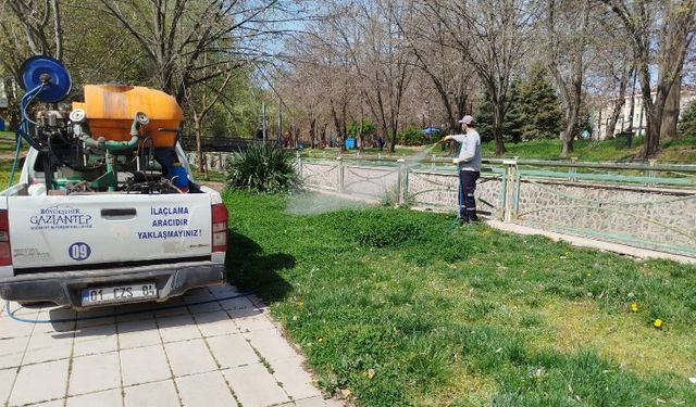 Gaziantep Büyükşehir, ilaçlama çalışmalarına yoğunlaştı