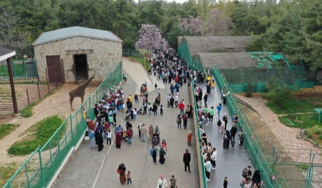 Gaziantep Doğal Yaşam Parkı’na akın ettiler