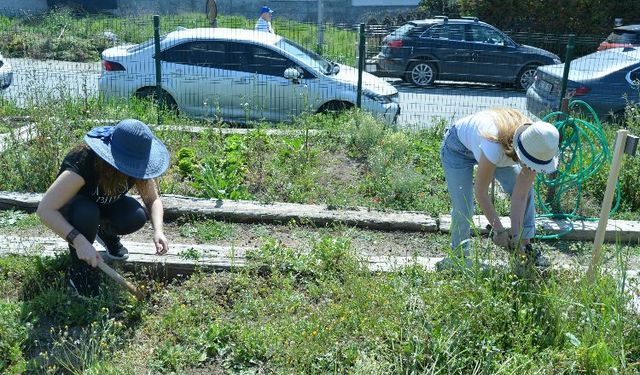 İstanbul'da hobi bahçeleriyle sahipleriyle buluştu