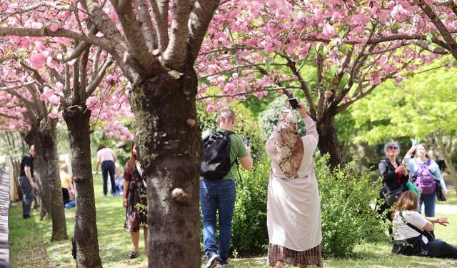 İstanbul'da 'Japon Bahçesi'ne yoğun ilgi