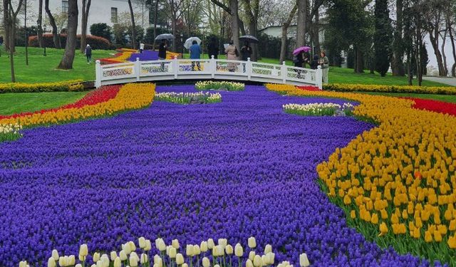 İstanbul'da lale bayramı başlıyor