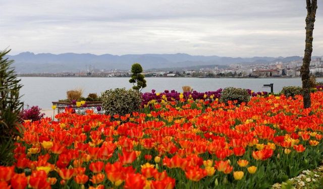 Karadeniz'in incisi Ordu