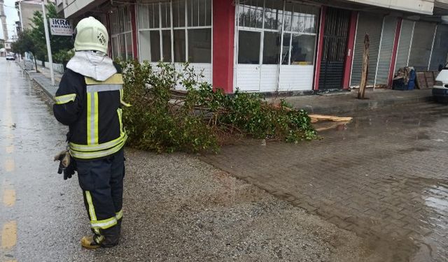 Manisa Büyükşehir İtfaiyesi fırtına mesaisinde